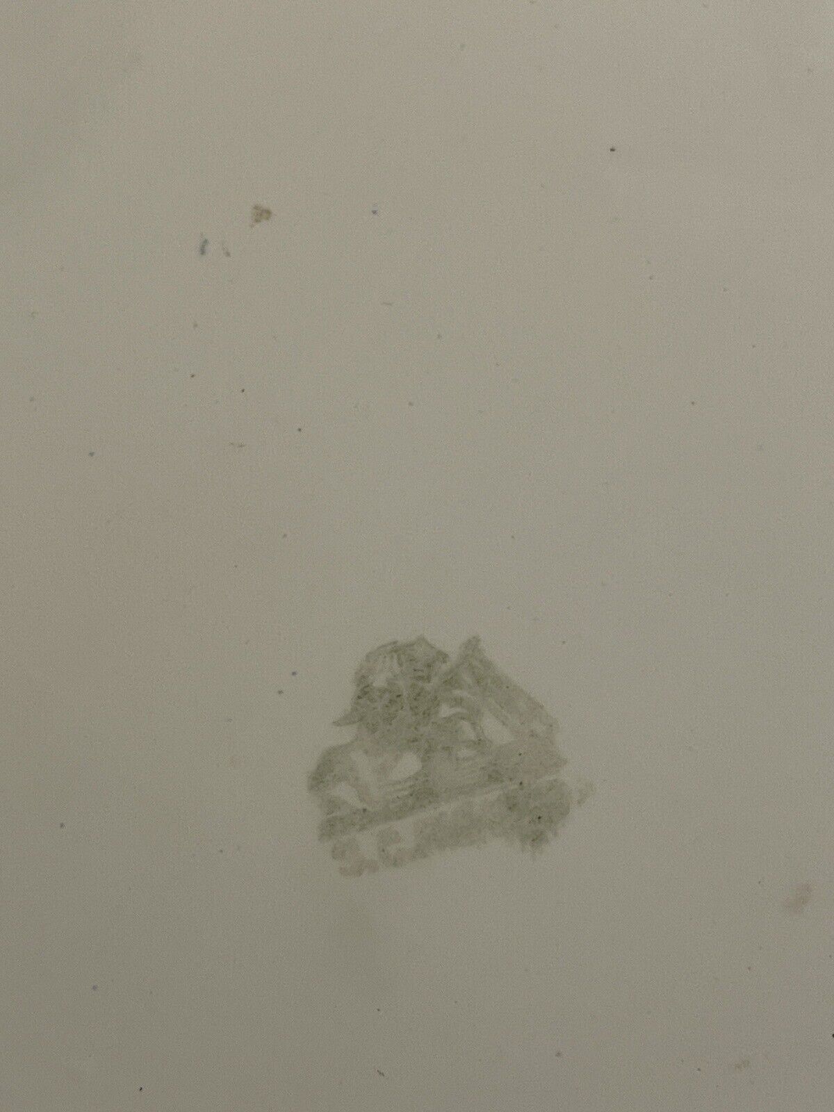 Antique Porcelain Gallery Tray Flowers & Bee Handled 20.5” X 13.25” Estate Find