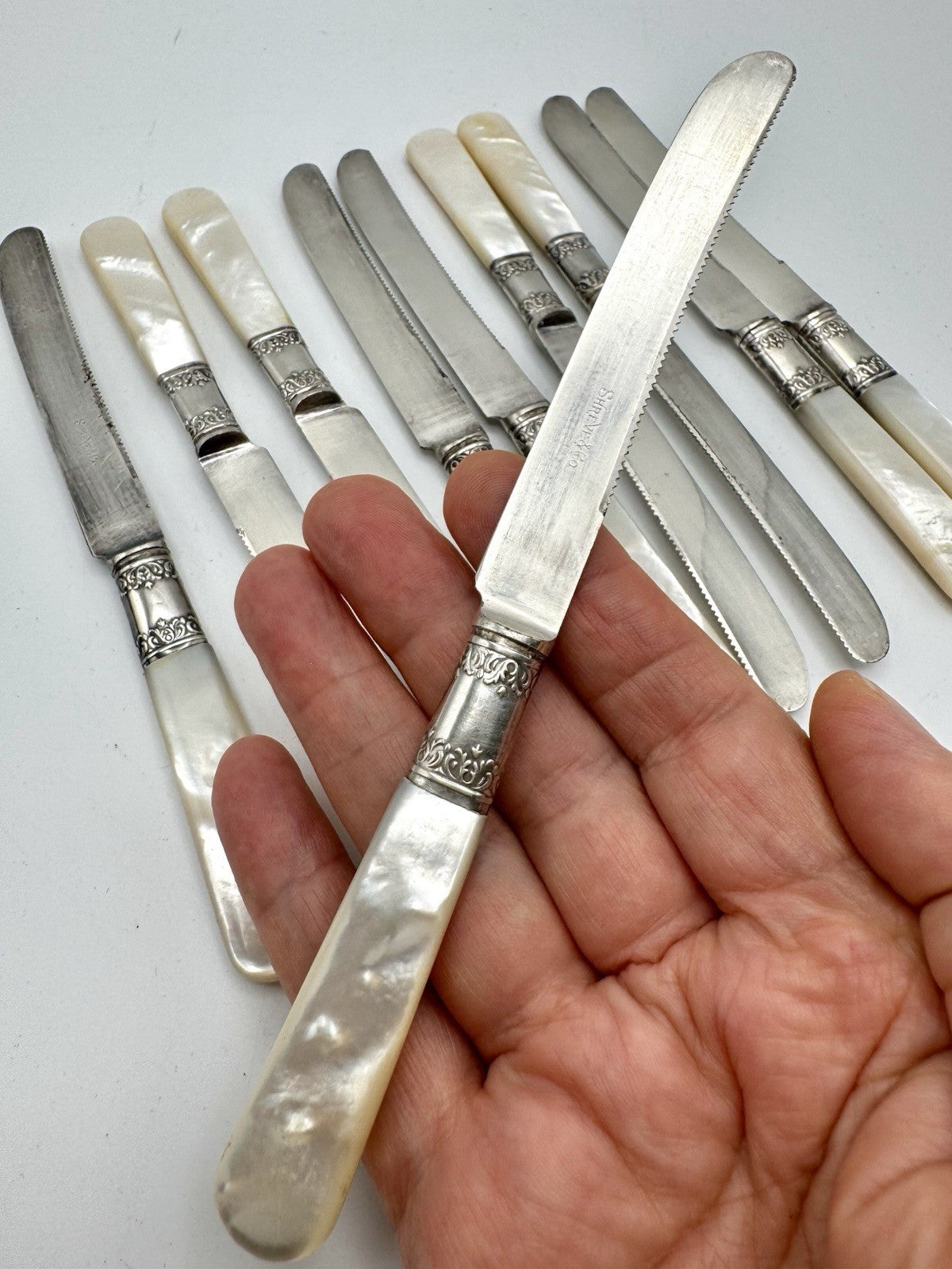 Antique Shreve & Co Set 10 Grapefruit Knives Mother of Pearl Sterling Ferrule