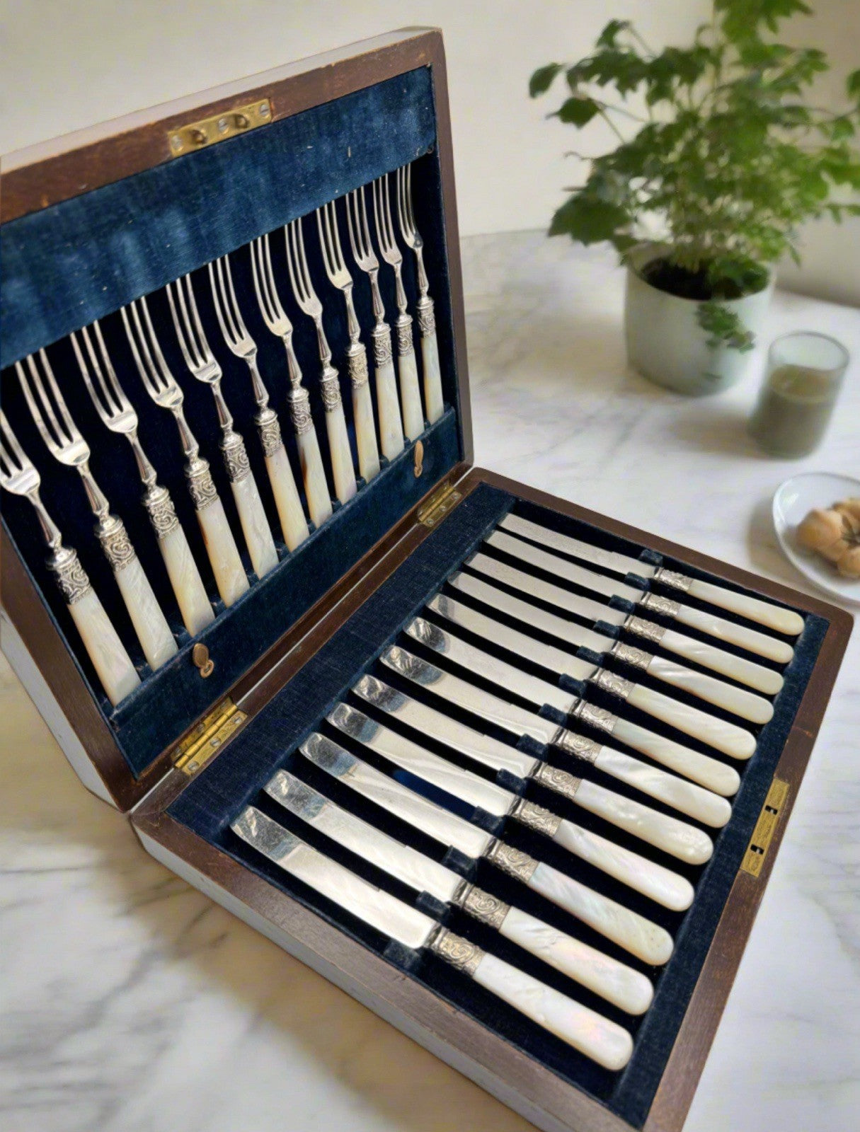 24 Pc Antique Mother of Pearl Dessert Set Sterling Ferrule Sheffield 1902 BOX
