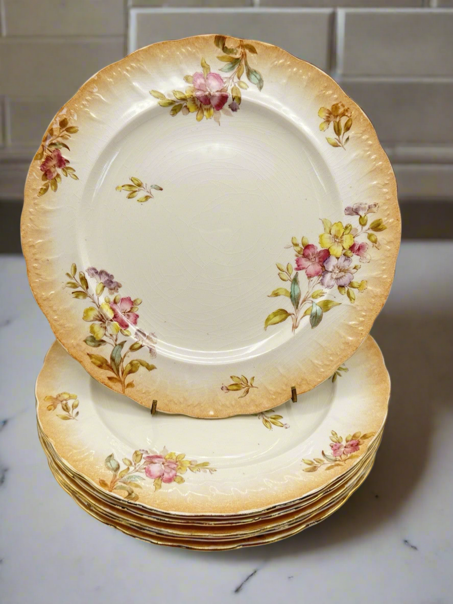 6 ANTIQUE Sampson Bridgwood & Son DINNER PLATES Floral Pink Peach 10.5”