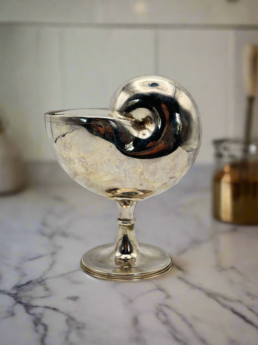 Vintage Silver Plate Nautilus Footed Spooner – Antique Victorian Style