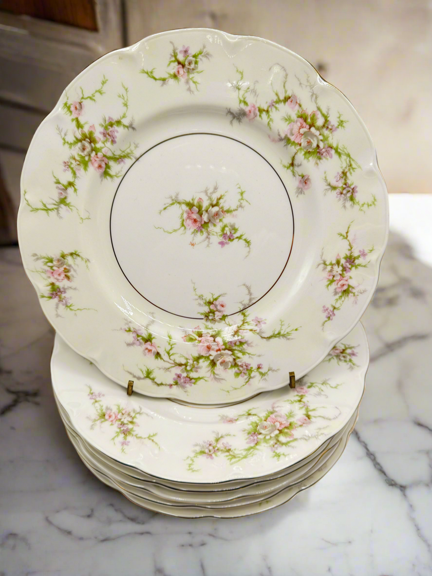 Set of 6 ROSALINDE Luncheon Plates HAVILAND NEW YORK 8.75”