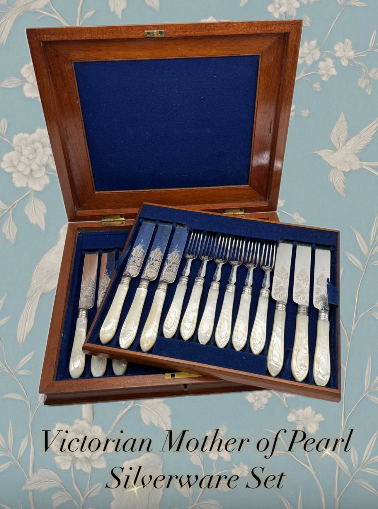Victorian 24 Piece Mother of Pearl Silverware Set In Original Wood Case EXQUISITE