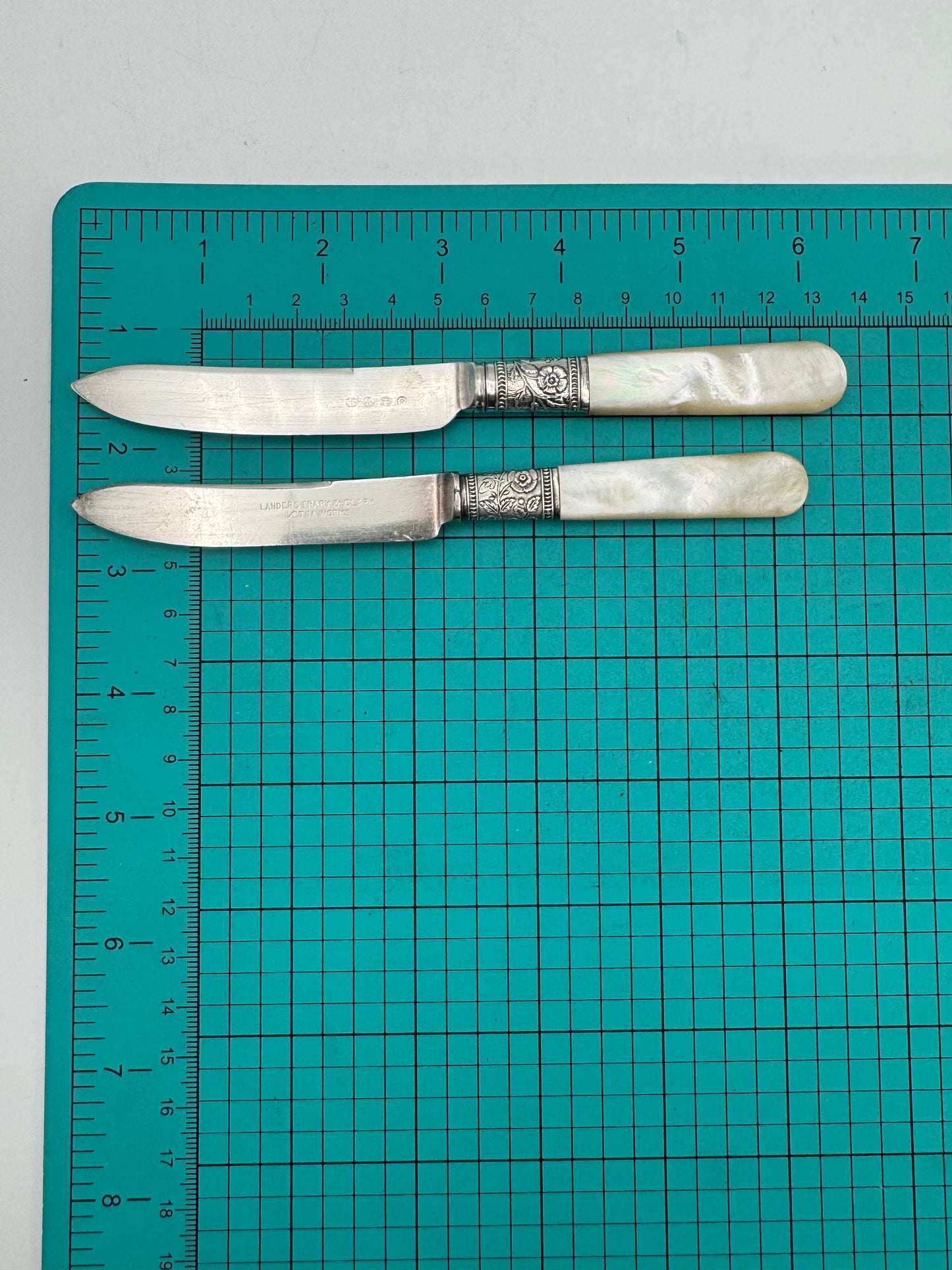 12 Antique MOTHER Of PEARL Fruit Knives Silverplate FERULE Floral Design Boxed