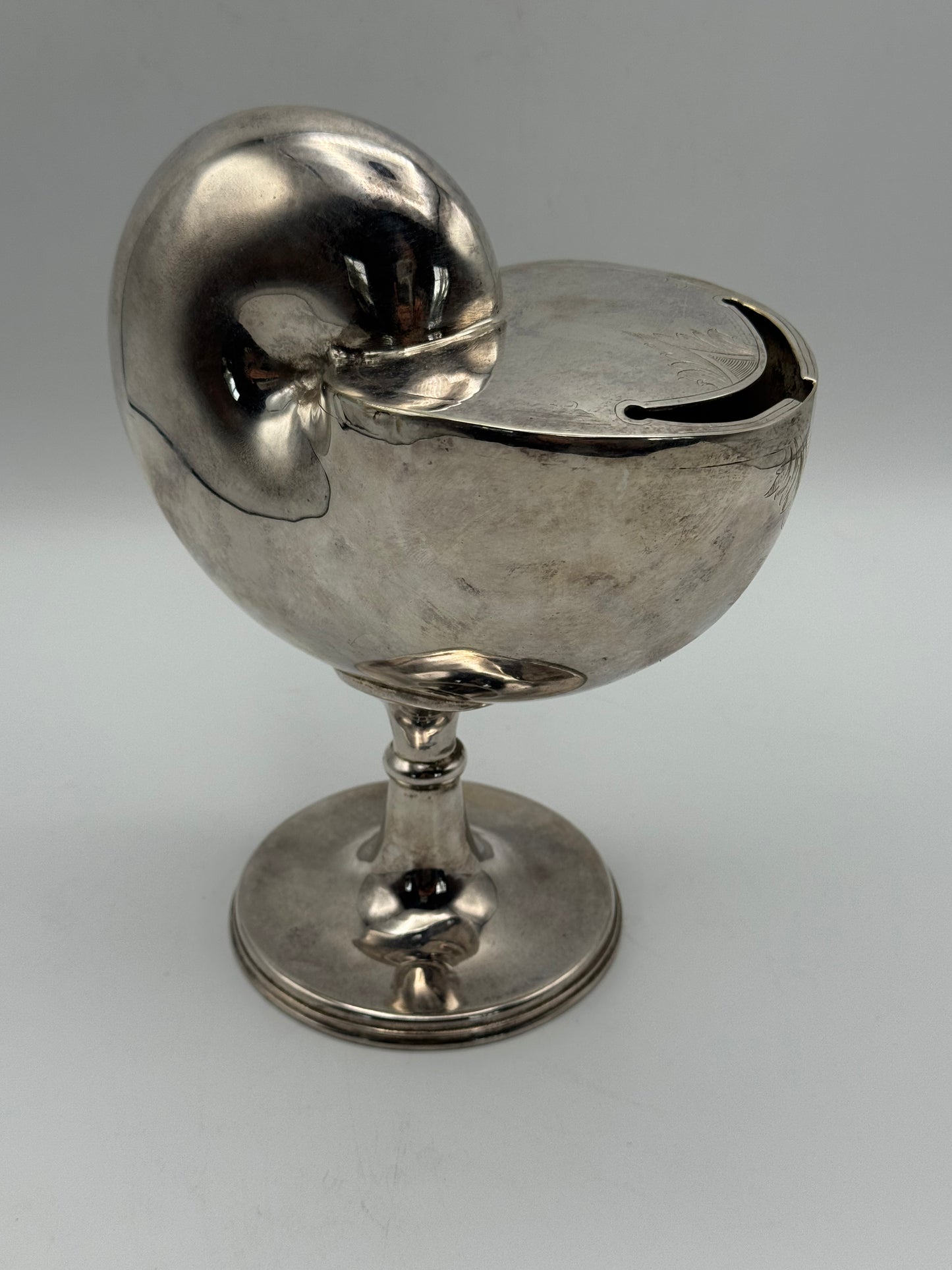 Vintage Silver Plate Nautilus Footed Spooner – Antique Victorian Style