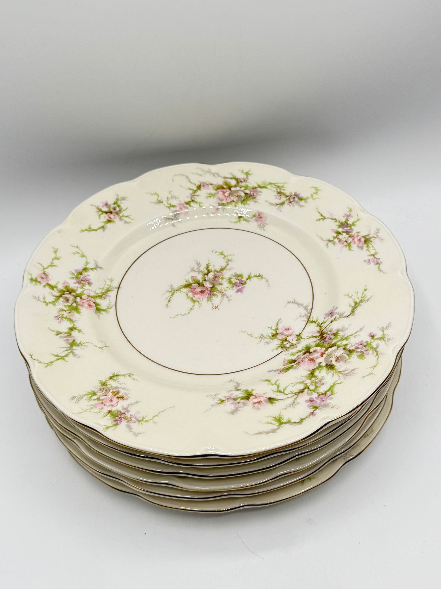 Set of 6 ROSALINDE Luncheon Plates HAVILAND NEW YORK 8.75”