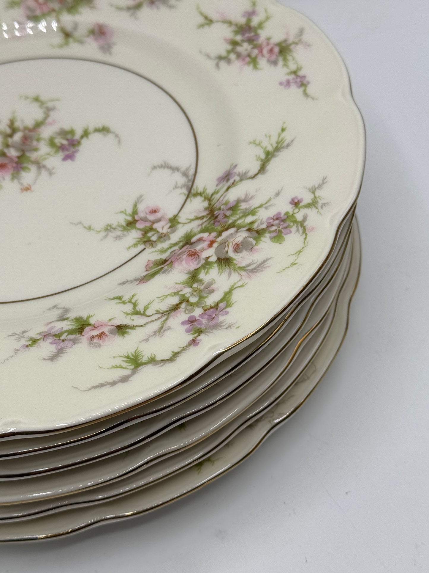 Set of 6 ROSALINDE Luncheon Plates HAVILAND NEW YORK 8.75”