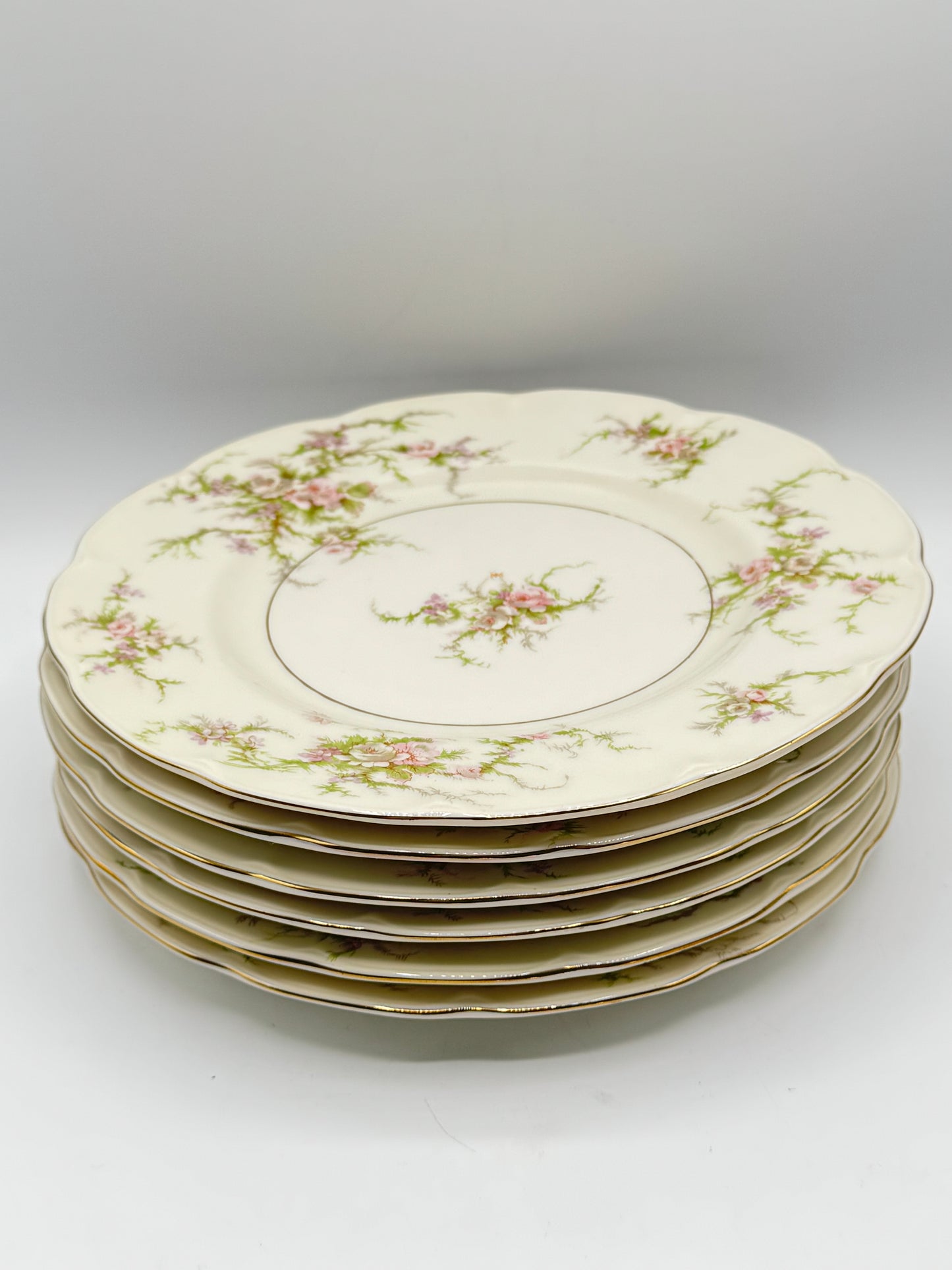 Set of 6 ROSALINDE Luncheon Plates HAVILAND NEW YORK 8.75”