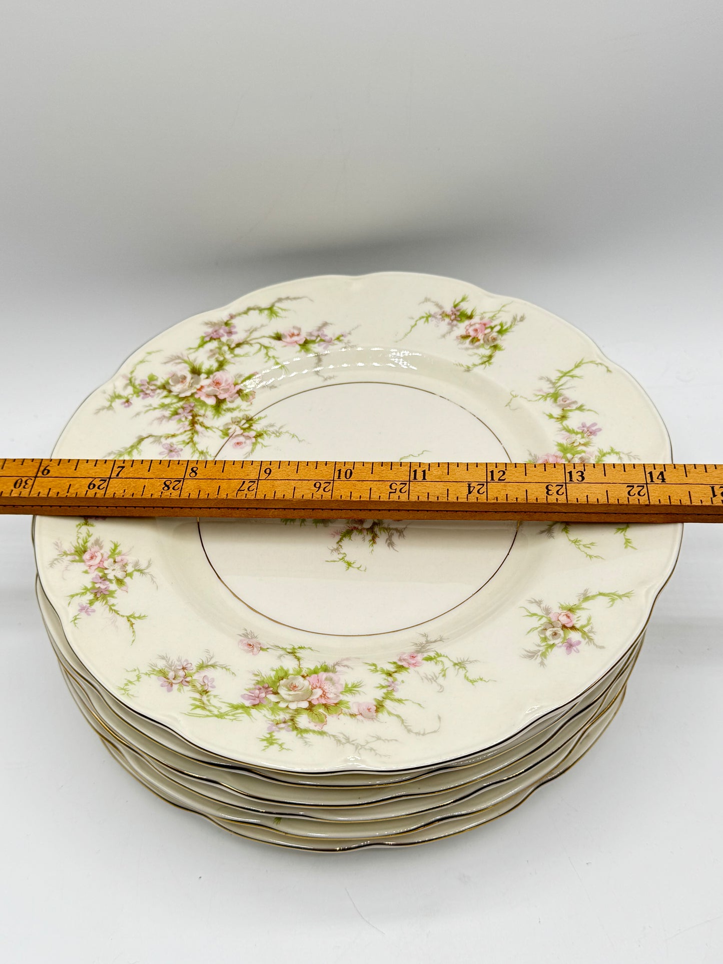 Set of 6 ROSALINDE Luncheon Plates HAVILAND NEW YORK 8.75”