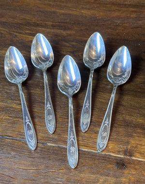 Set of 5 Community Silverplate Citrus Spoons Monogram D – 5.5”