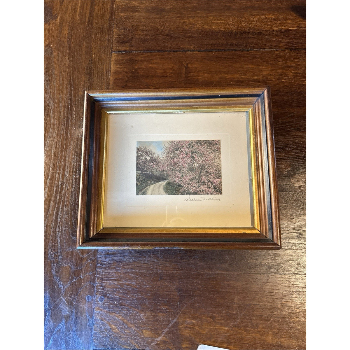 Wallace Nutting Framed Hand Colored Photograph Spring Blossoms Wood Frame 12”