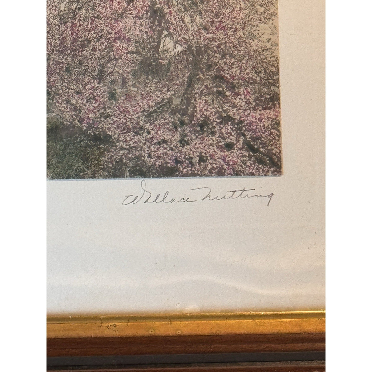 Wallace Nutting Framed Hand Colored Photograph Spring Blossoms Wood Frame 12”