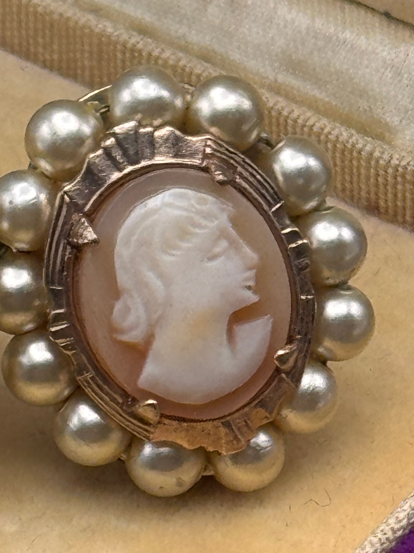 Edwardian Style Shell Cameo Earrings Faux Pearl Halo Screw Back .75”