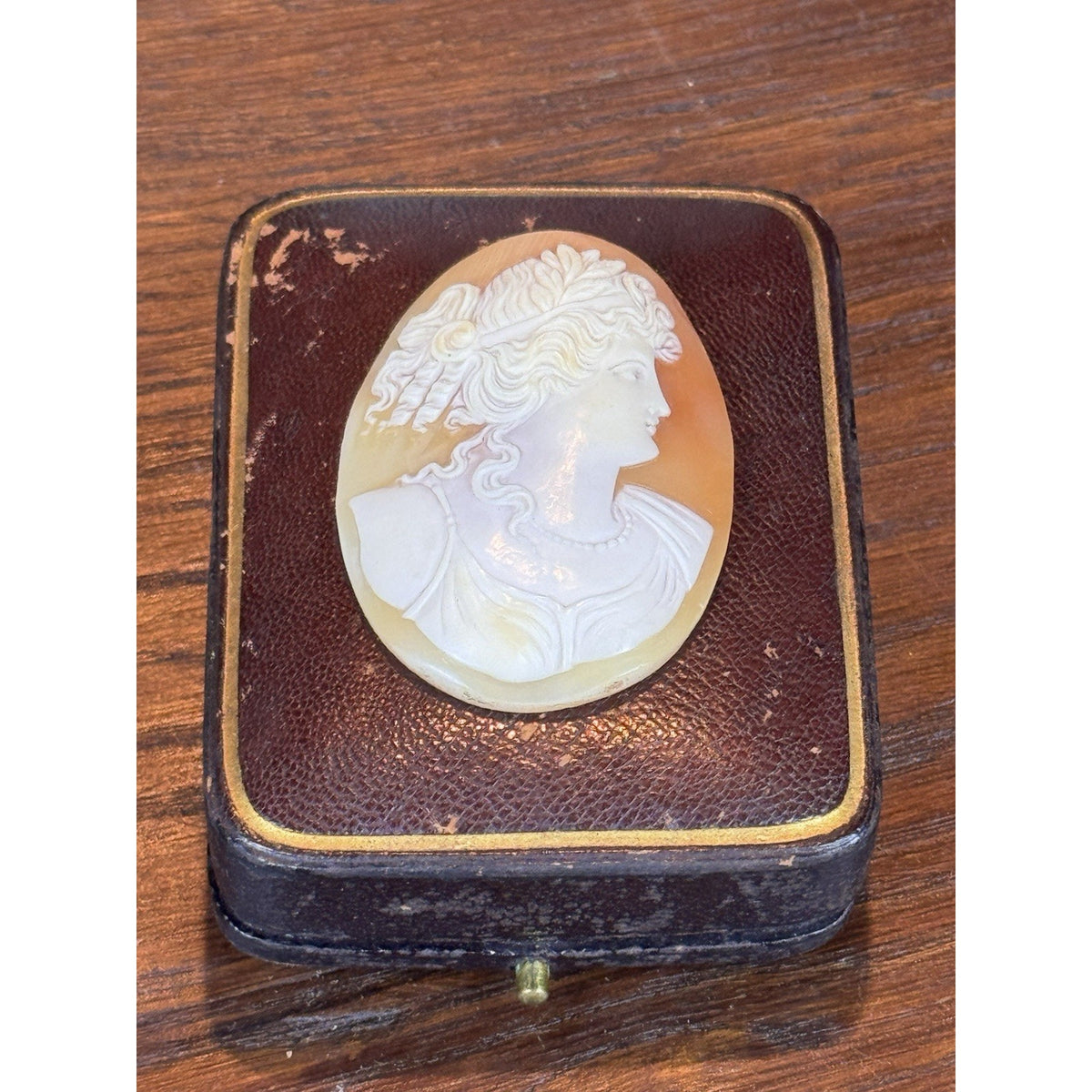 Victorian Shell Cameo Loose Carved Classical Woman Maiden Portrait 2” ANTIQUE