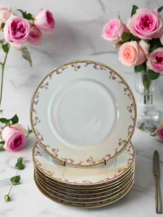 8 Dinner Plates Pink Roses Z Scherzer Porcelain China Bavaria Germany VINTAGE