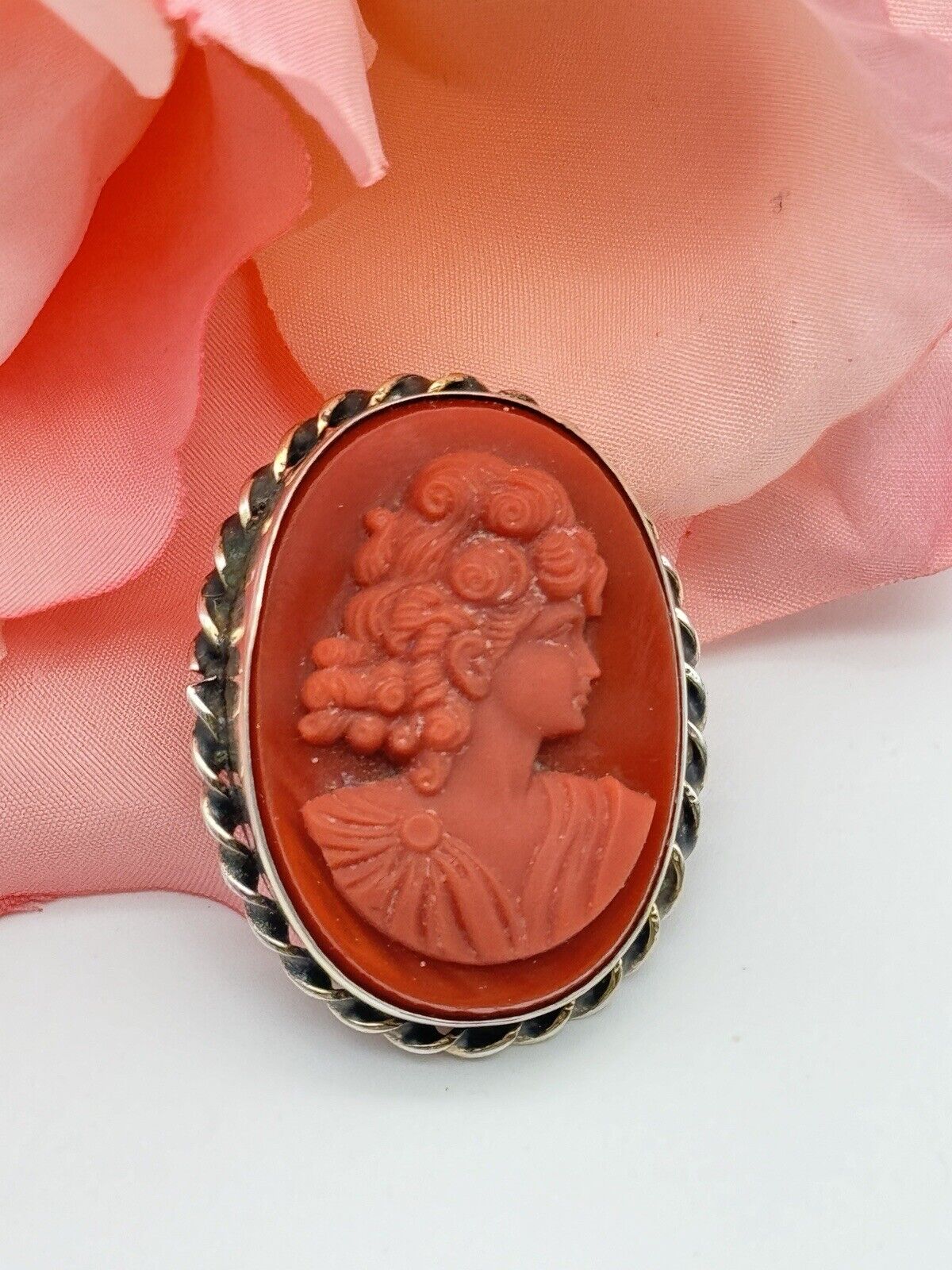 Vintage Carnelian Style Sterling Silver Cameo Brooch Roped Frame ESTATE FIND