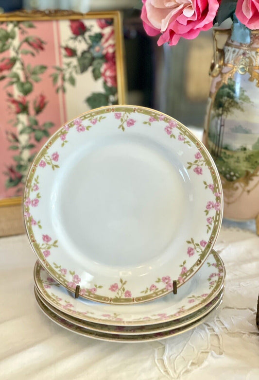 Vintage Pink Roses Salad Plates Z Scherzer Bavaria