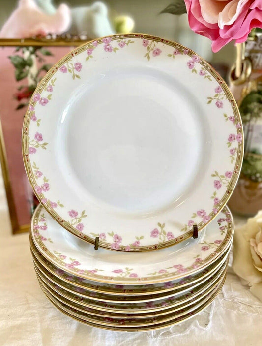 8 Luncheon Plates Pink Roses Z Scherzer Porcelain China Bavaria Germany VINTAGE