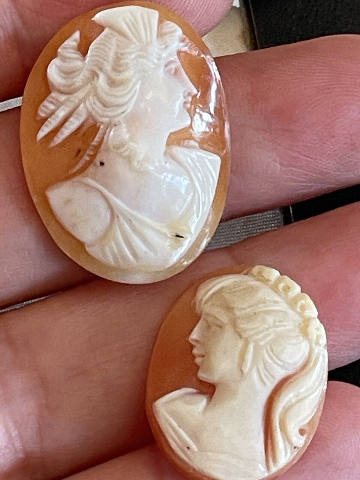 Lot Of 2 Hand Carved Shell Cameos Left & Right Facing Loose