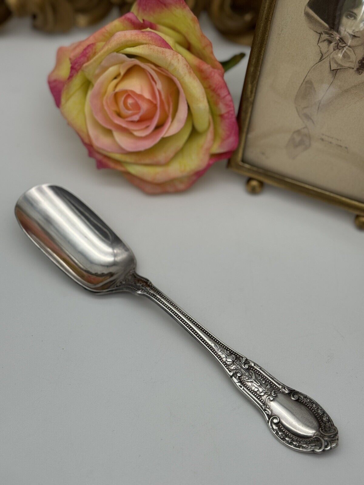 Antique 1906 Silverplate Cheese Scoop Alvin Tuileries