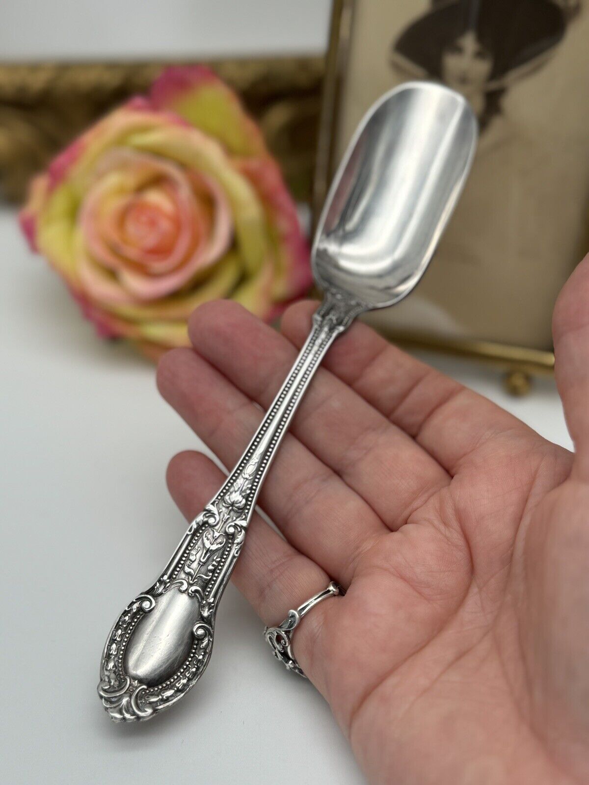 Antique 1906 Silverplate Cheese Scoop Alvin Tuileries