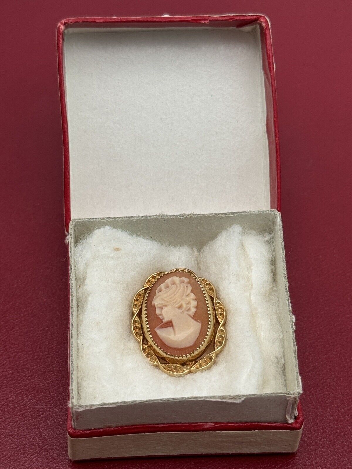 Small Carved Cameo Pin Left Facing With Vintage Case 12kt Gold Filled