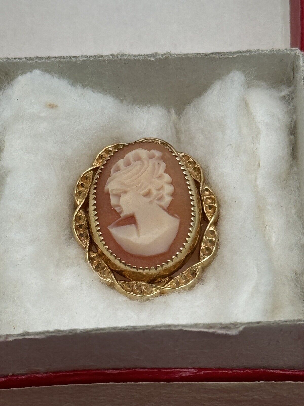 Small Carved Cameo Pin Left Facing With Vintage Case 12kt Gold Filled