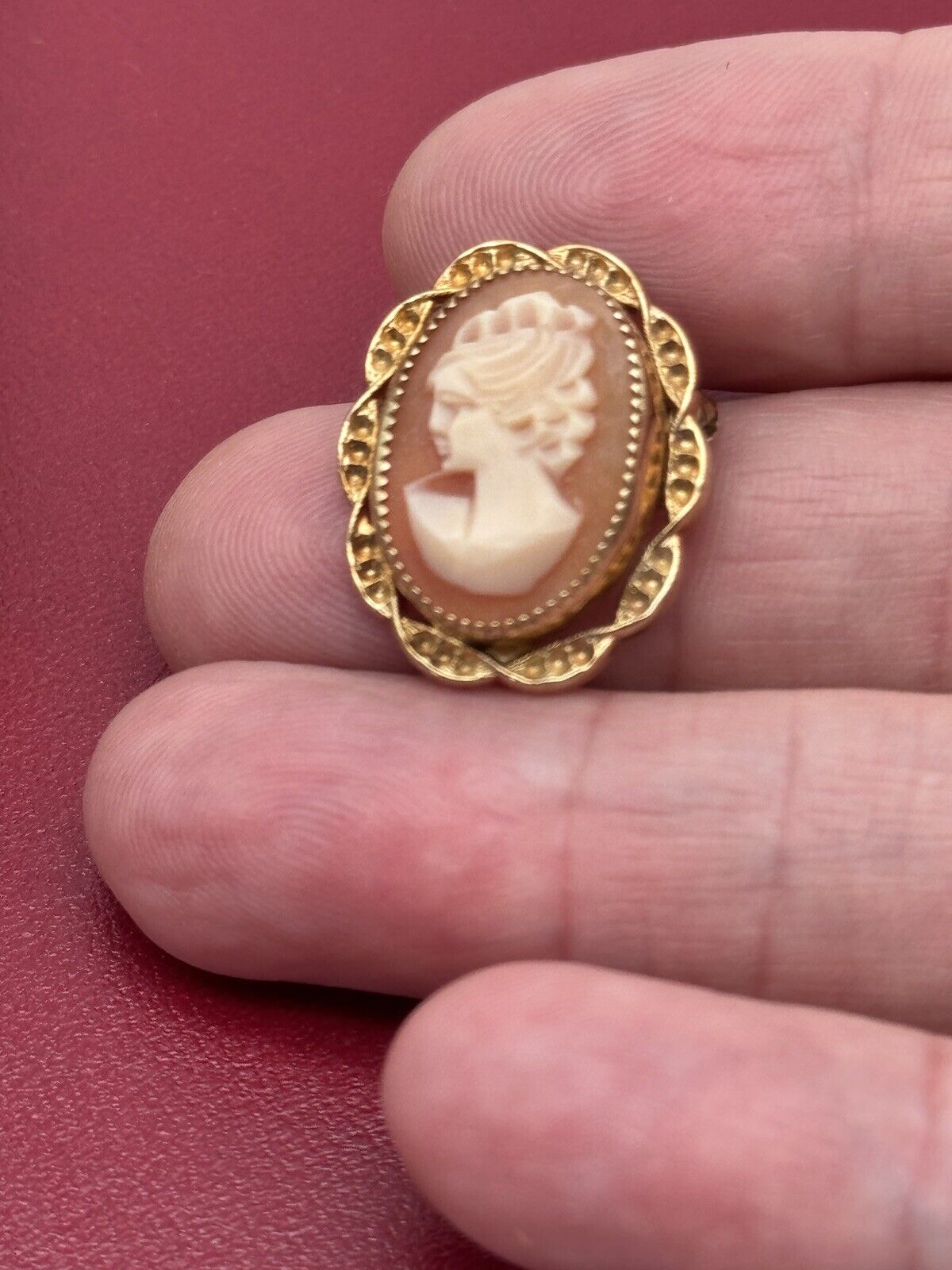 Small Carved Cameo Pin Left Facing With Vintage Case 12kt Gold Filled