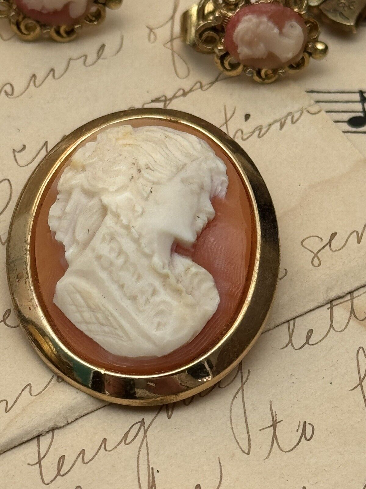 Vintage Cameo Brooch In Goldtone Frame