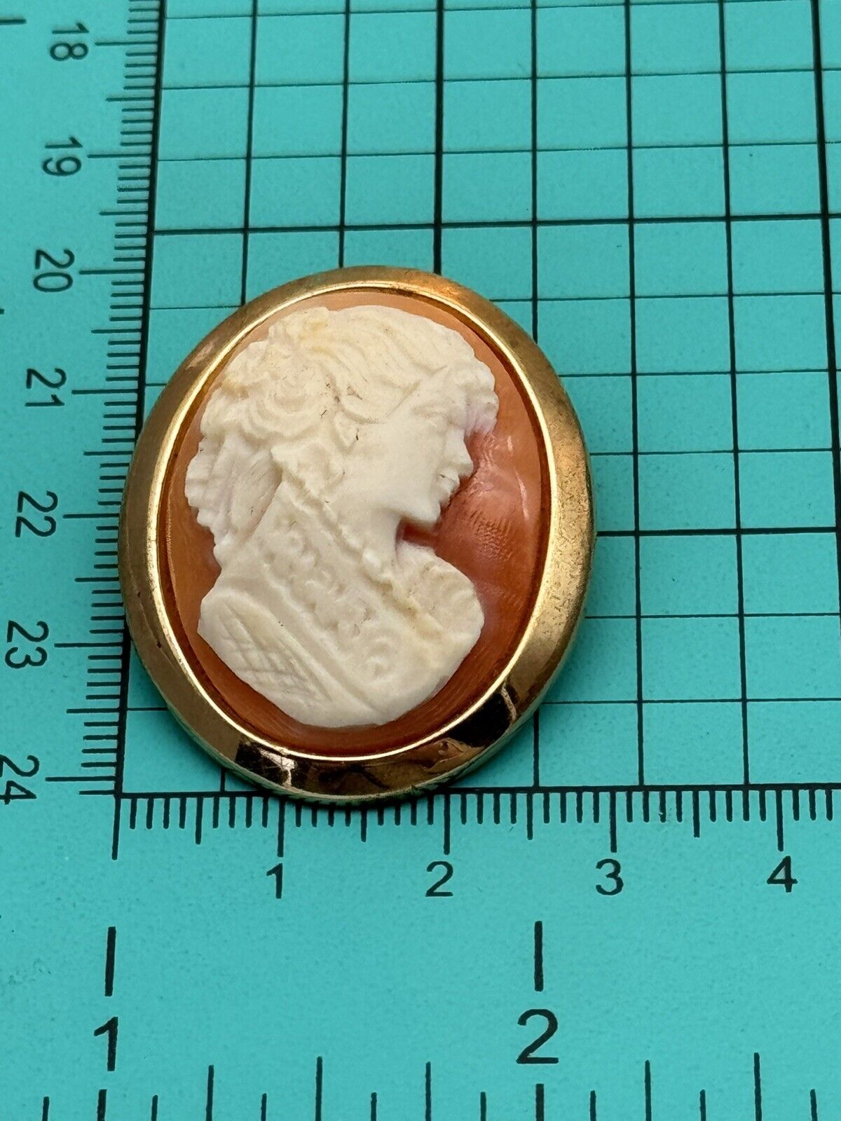 Vintage Cameo Brooch In Goldtone Frame