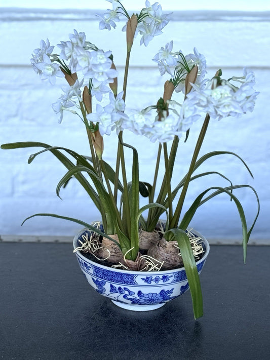 1 X Asian Artificial Narcissus Flower Arrangement 17” Tall Porcelain Bowl Decor