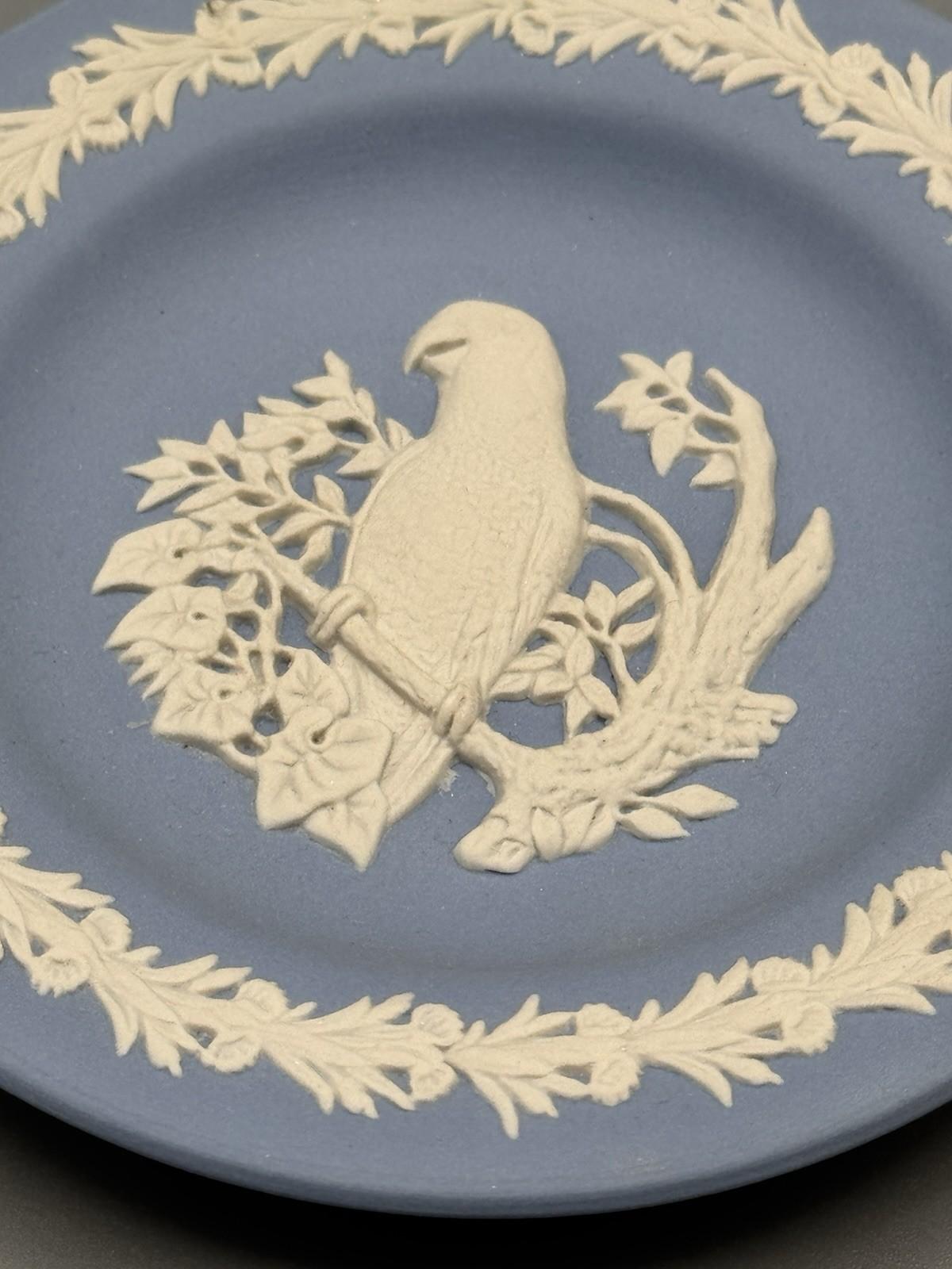 Wedgwood Jasperware Parrot Pin Dish Blue Relief 4.3”