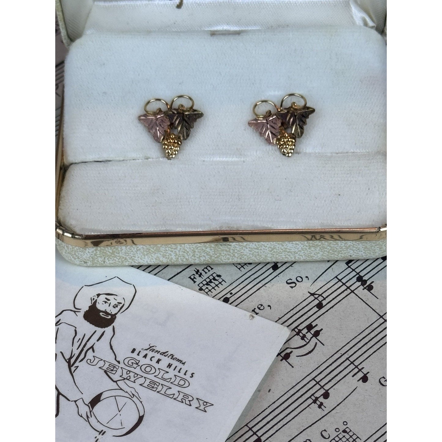 Vintage Black Hills Gold Filled Screw Back Earrings Landstrom’s Case .75”