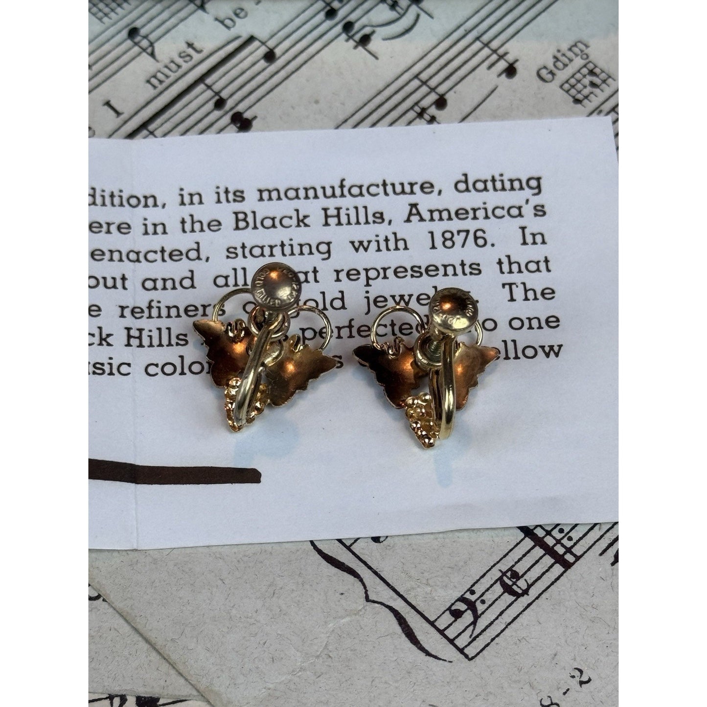 Vintage Black Hills Gold Filled Screw Back Earrings Landstrom’s Case .75”