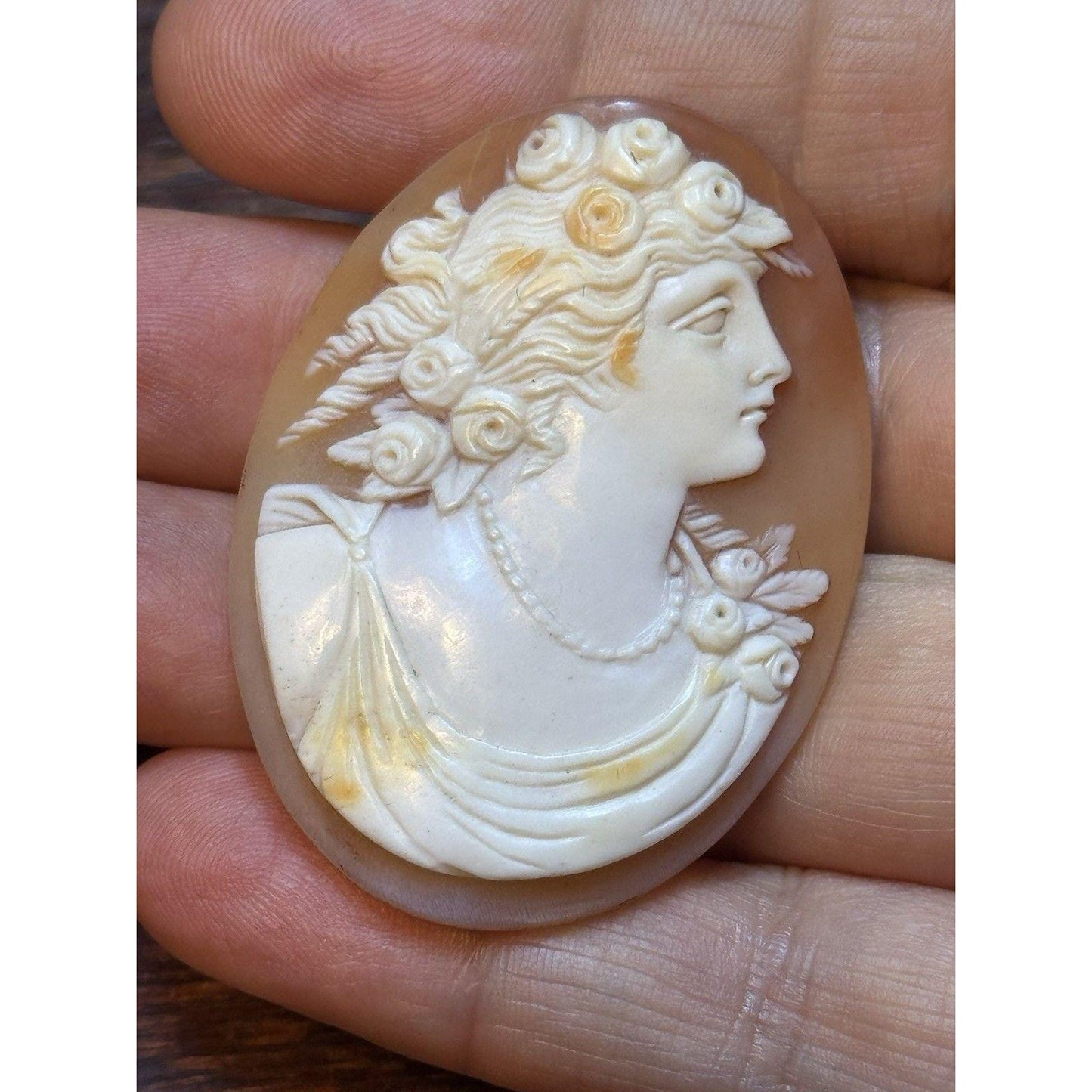 Victorian Shell Cameo Loose Unmounted Cameo Goddess Portrait 2