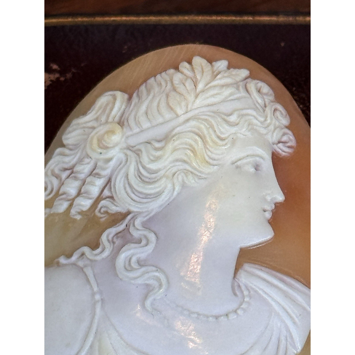Victorian Shell Cameo Loose Carved Classical Woman Maiden Portrait 2” ANTIQUE