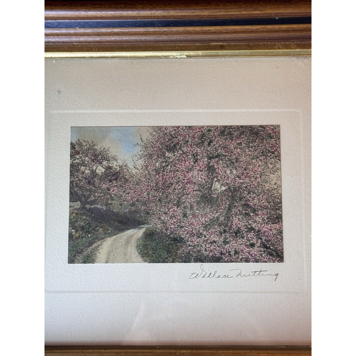 Wallace Nutting Framed Hand Colored Photograph Spring Blossoms Wood Frame 12”