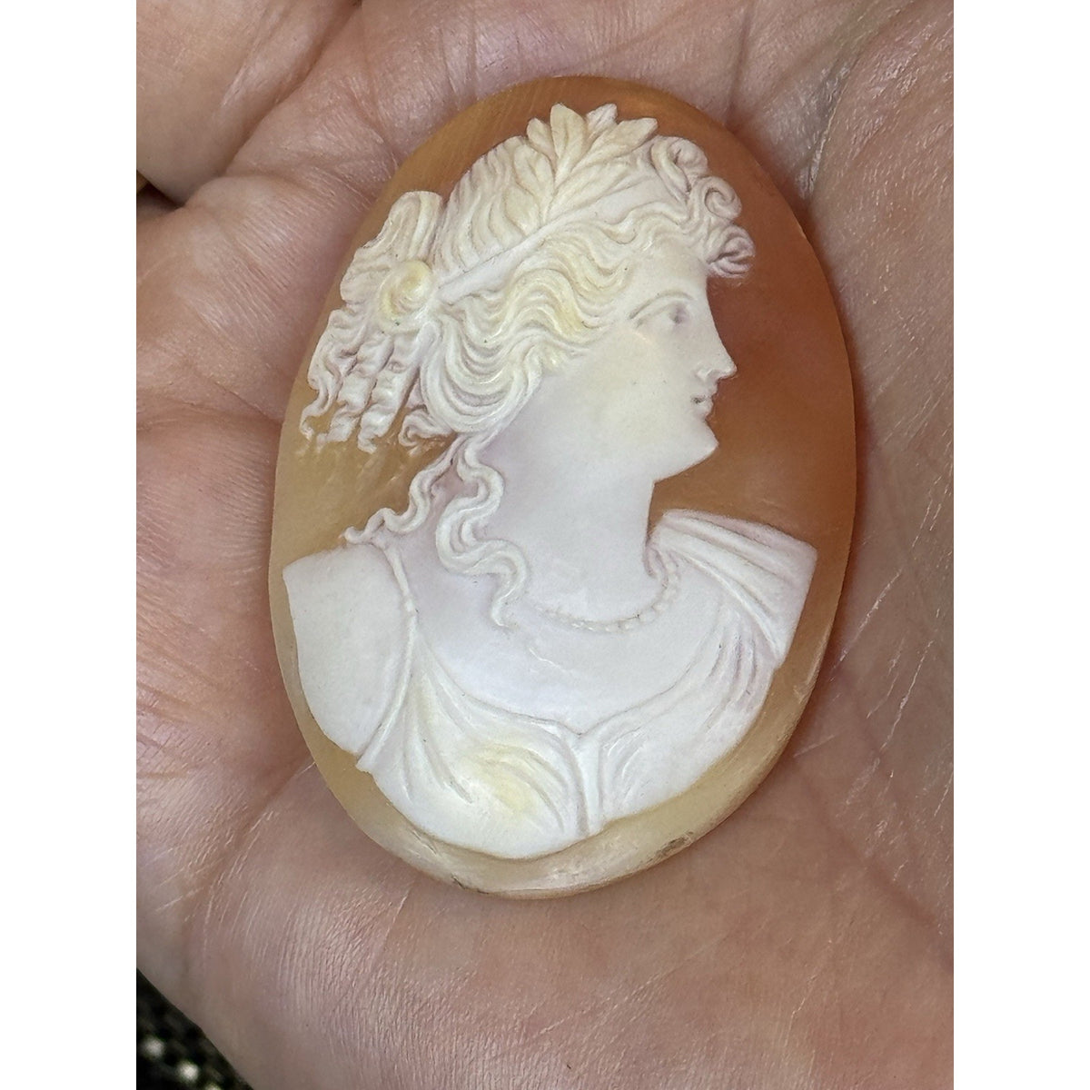 Victorian Shell Cameo Loose Carved Classical Woman Maiden Portrait 2” ANTIQUE