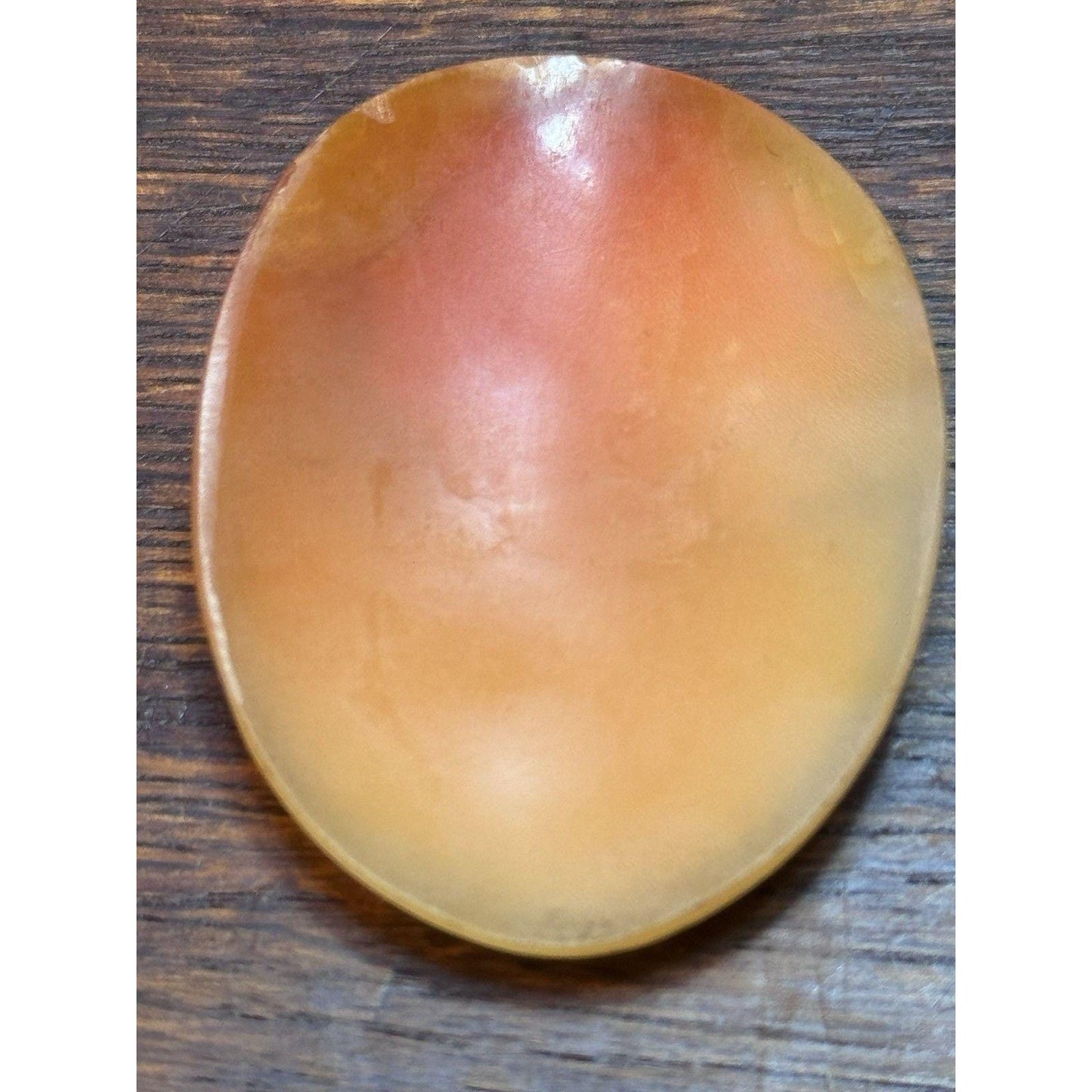 Victorian Shell Cameo Loose Unmounted Cameo Goddess Portrait 2