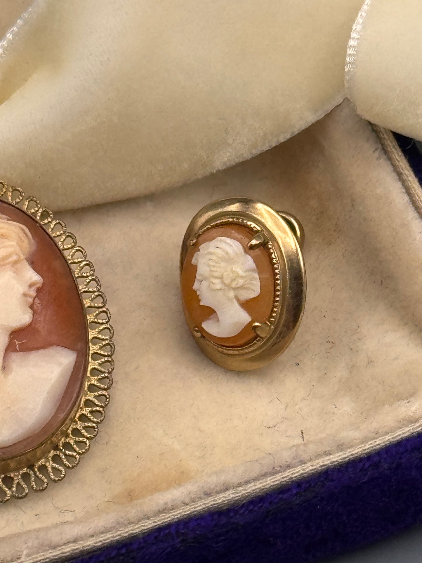 Gold Filled Cameo Brooch Pendant Screw Back Earring Set by AMCO