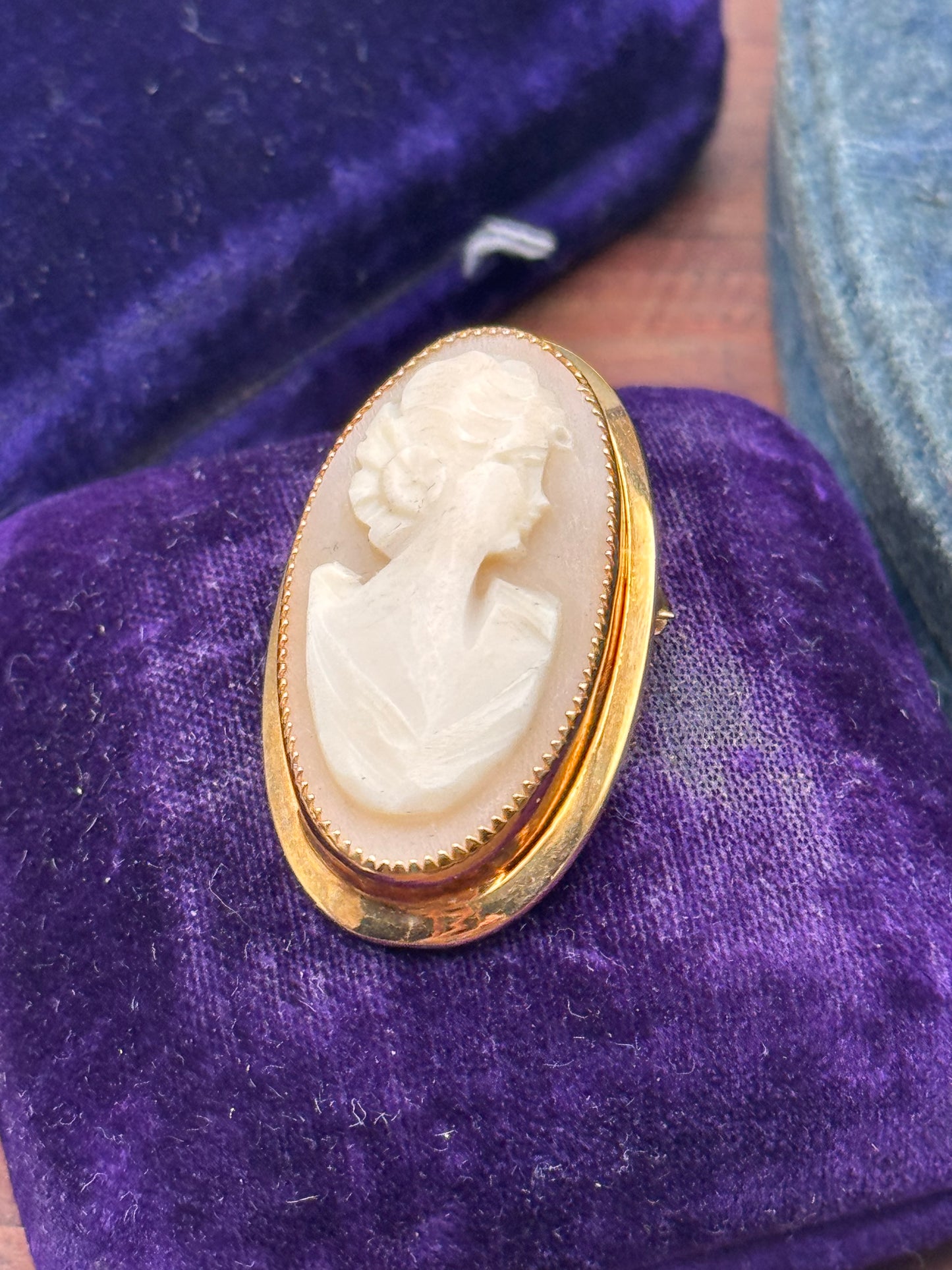 Vintage Gold Filled Carved Shell Cameo Brooch Oval Portrait 1 3/8”