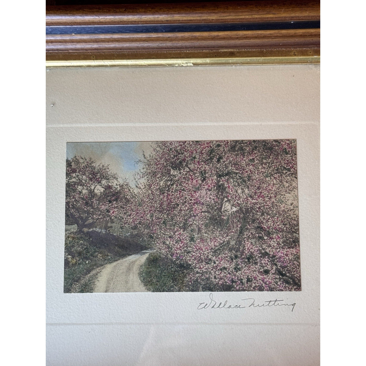 Wallace Nutting Framed Hand Colored Photograph Spring Blossoms Wood Frame 12”