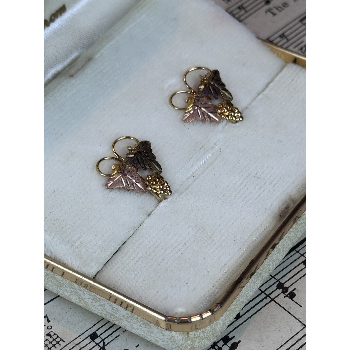 Vintage Black Hills Gold Filled Screw Back Earrings Landstrom’s Case .75”