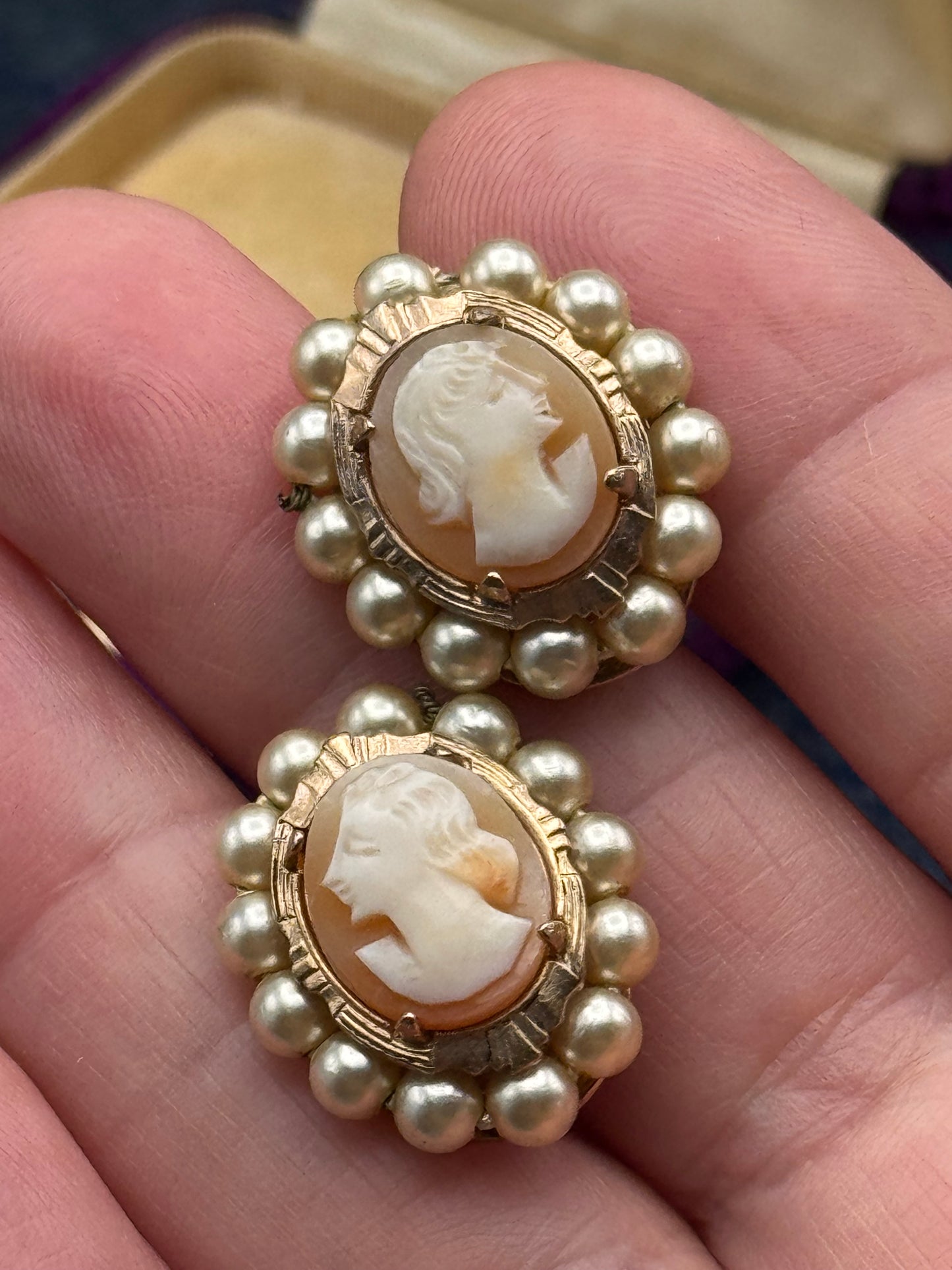 Edwardian Style Shell Cameo Earrings Faux Pearl Halo Screw Back .75”