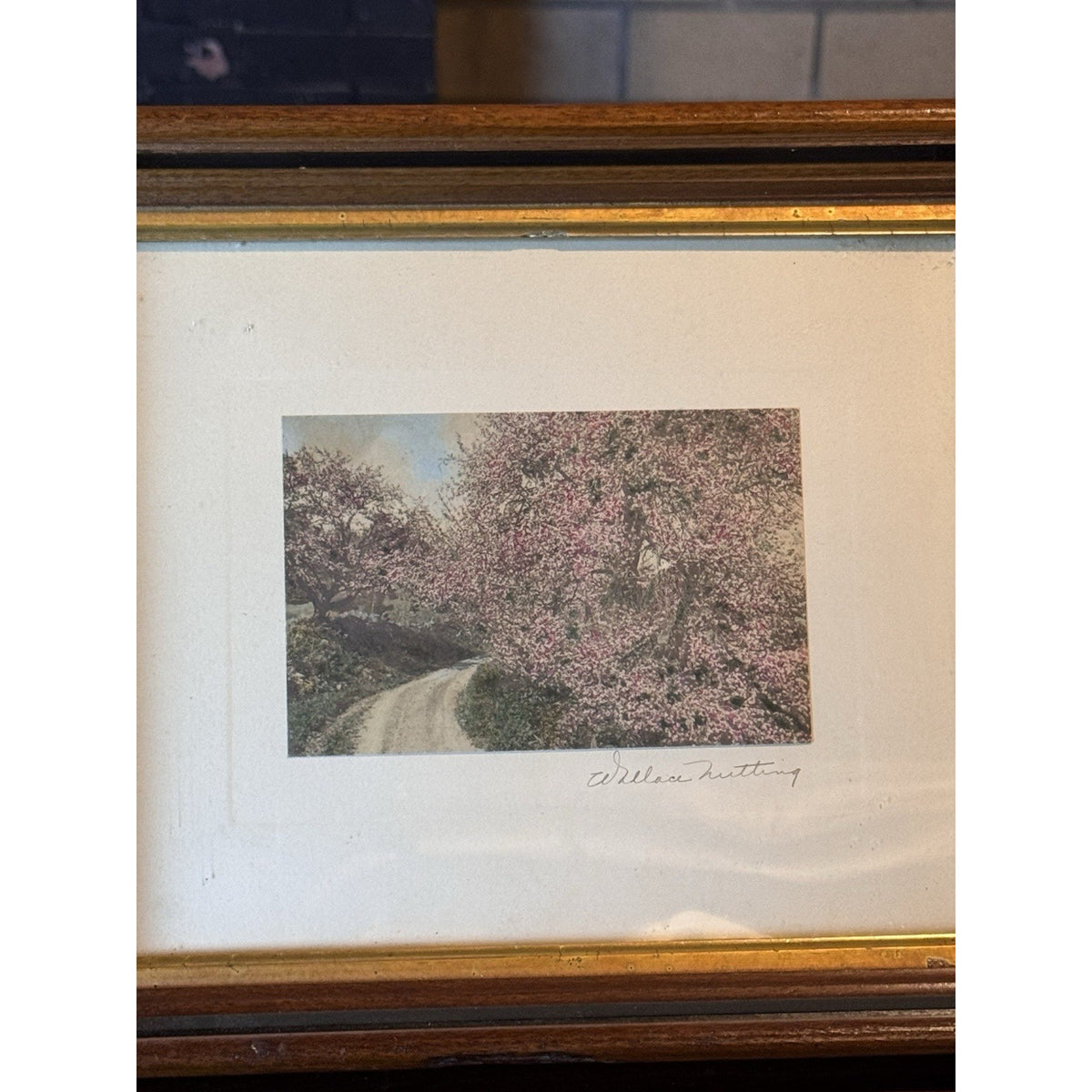 Wallace Nutting Framed Hand Colored Photograph Spring Blossoms Wood Frame 12”
