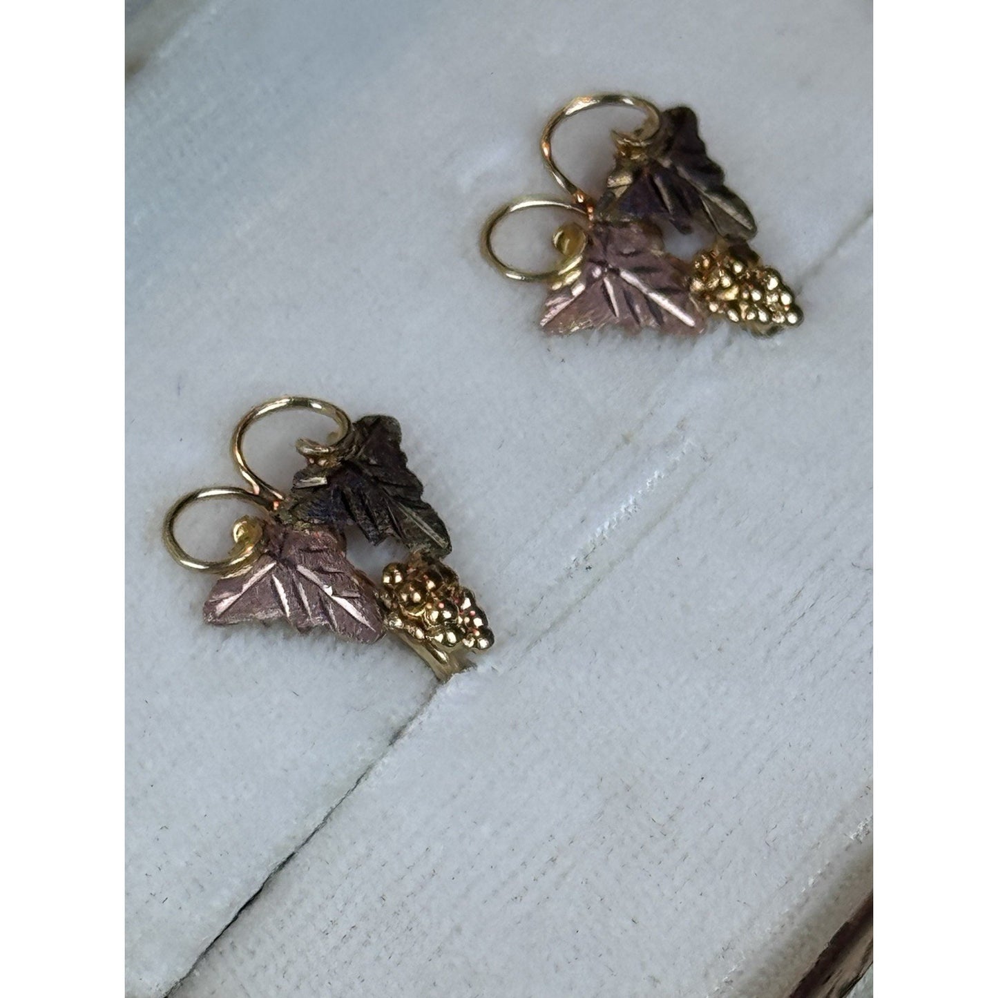 Vintage Black Hills Gold Filled Screw Back Earrings Landstrom’s Case .75”