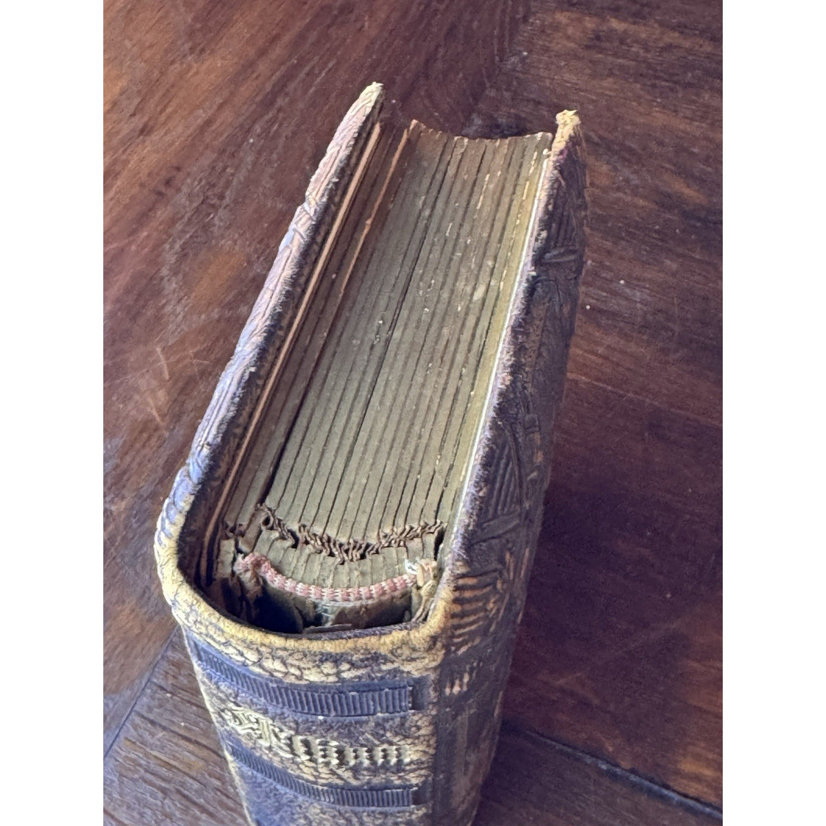 Antique Photo Album 18 Victorian Portraits Embossed Cover Clasp 6”x5” DAMAGED