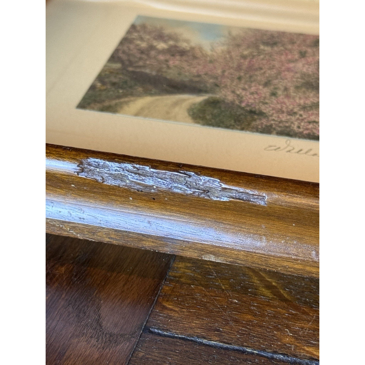 Wallace Nutting Framed Hand Colored Photograph Spring Blossoms Wood Frame 12”