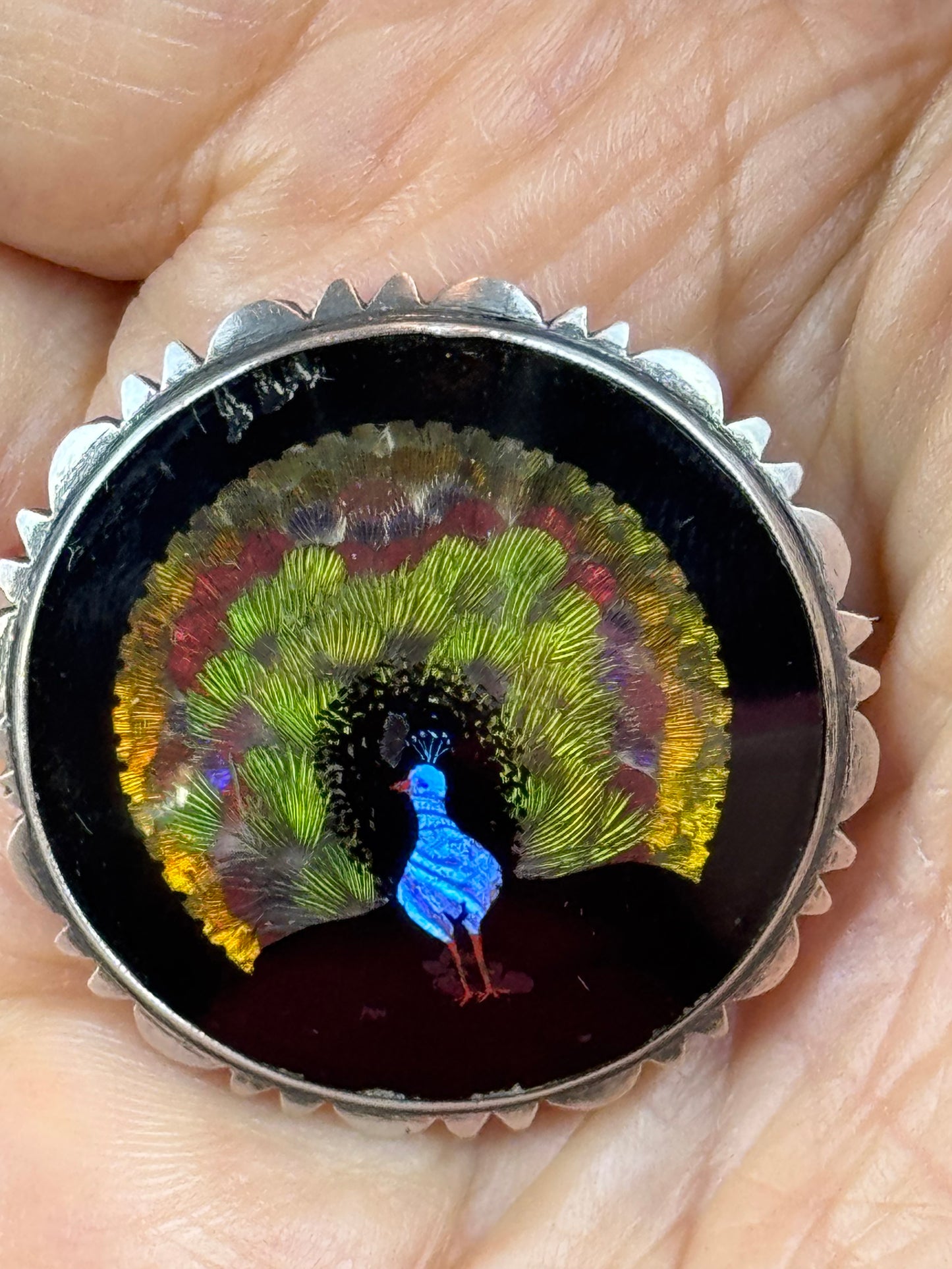 Antique Silver Morpho Butterfly Wing Brooch Peacock Feather 1.25” Round