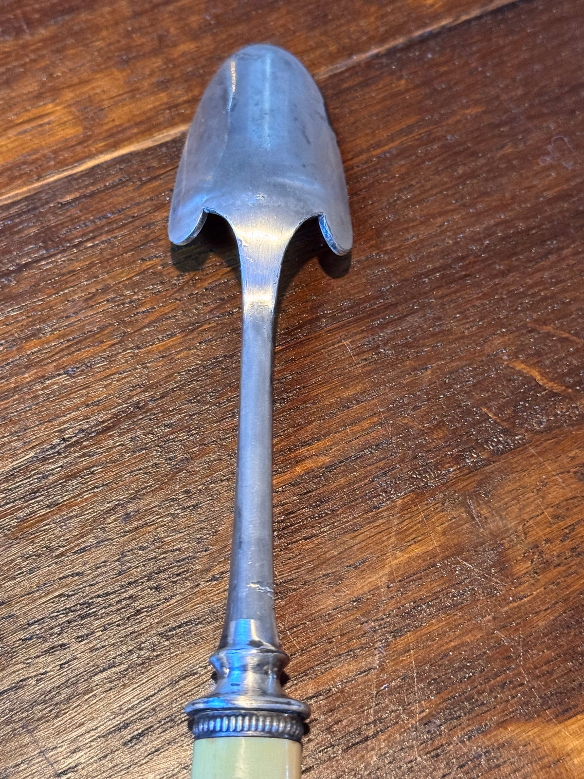 Antique Stilton Cheese Scoop Celluloid Floral Handle Silver Plate Serving Utensil